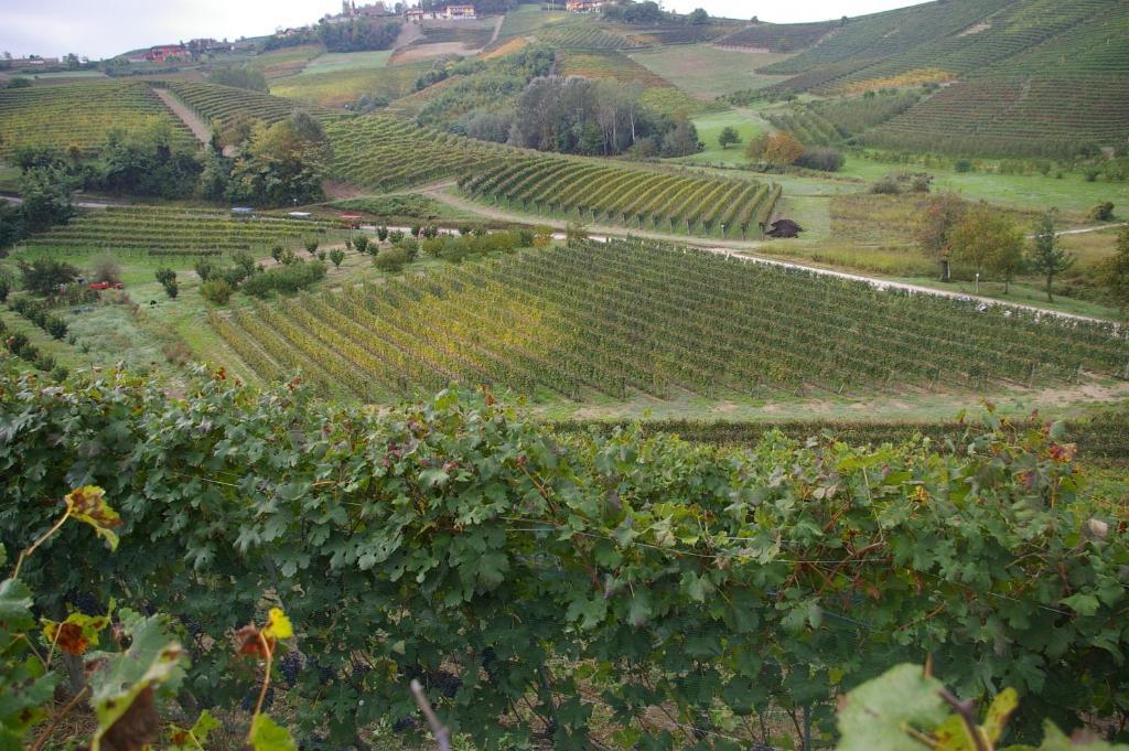 Cascina Ballarin Villa Ла Мора Екстериор снимка